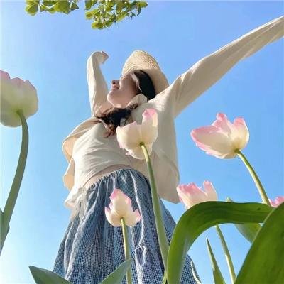 你好七叶第二季