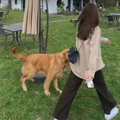 猎毒者